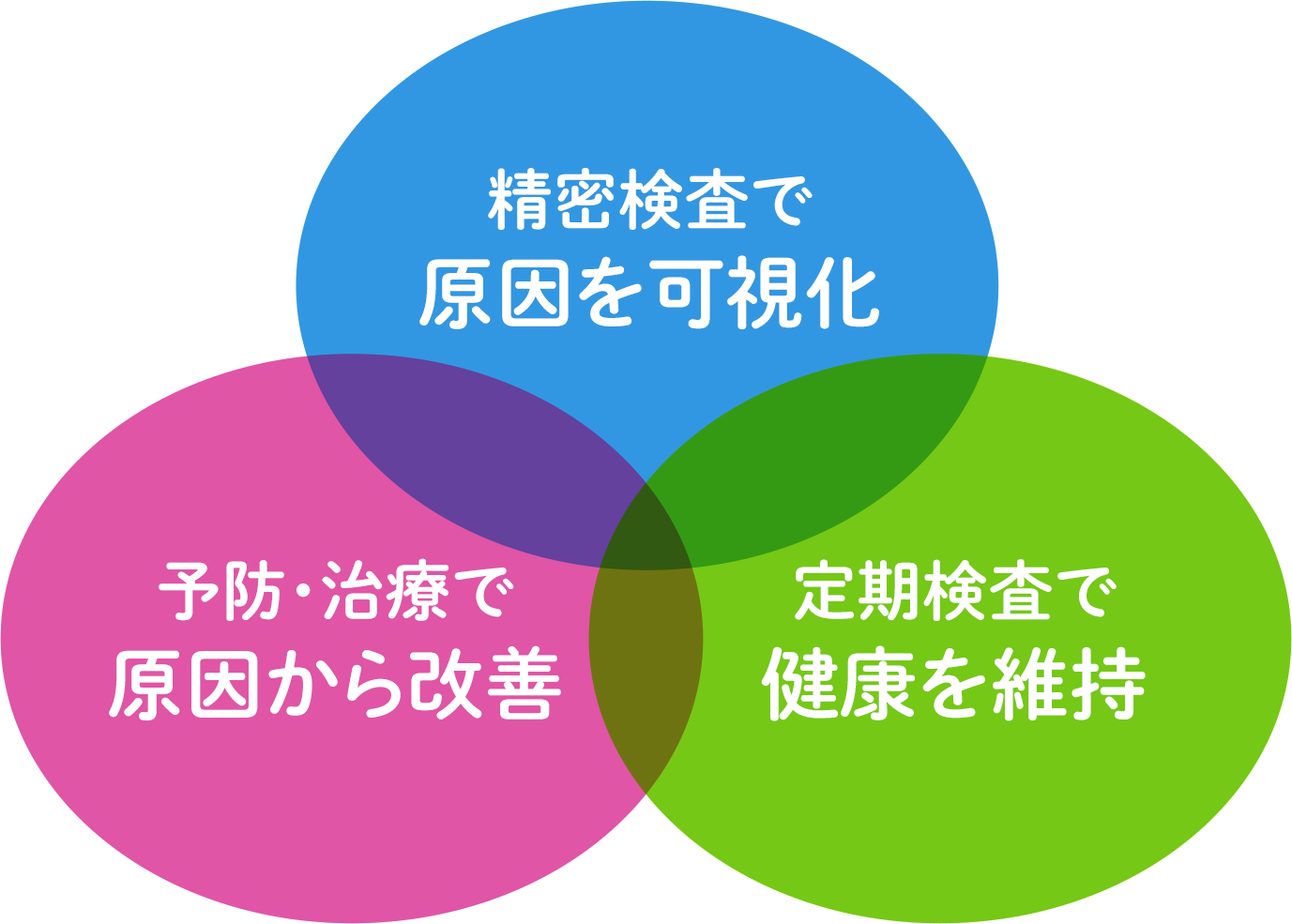 精密検査で原因を可視化/予防・治療で原因から改善/定期検査で健康を維持